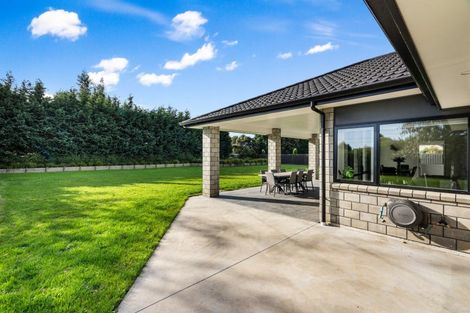 Photo of property in 254 Riverbend Road, Meeanee, Napier, 4110