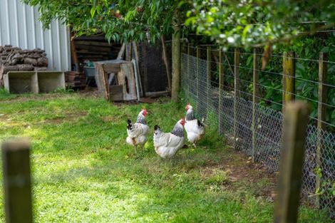 Photo of property in 5b Dobson Street, Waihi, 3610