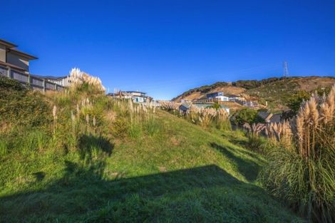 Photo of property in 17 Semaphore Lane, Whitby, Porirua, 5024