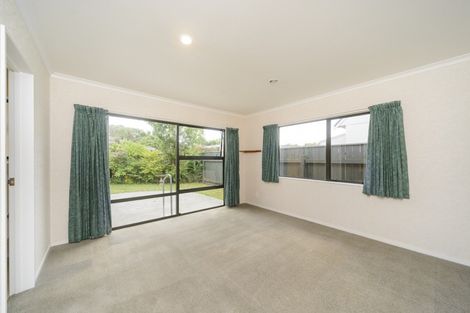 Photo of property in 161 College Street, Awapuni, Palmerston North, 4412