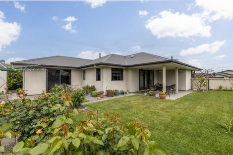 Photo of property in 3 Percy Berry Place, Havelock North, 4130