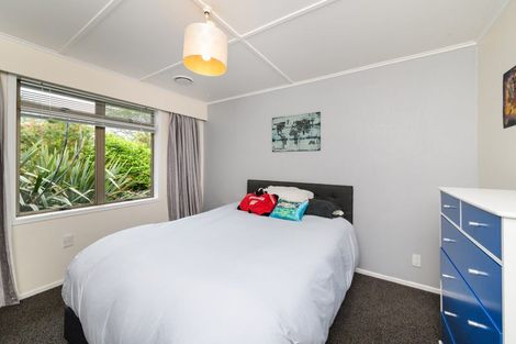 Photo of property in 14 Snowdon Avenue, Terrace End, Palmerston North, 4410