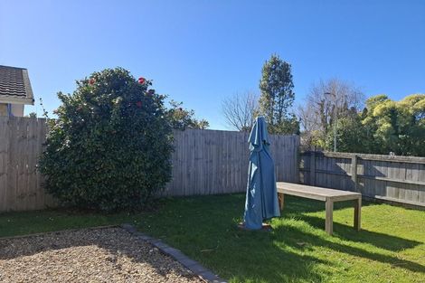 Photo of property in 4 Pearl Place, Chartwell, Hamilton, 3210