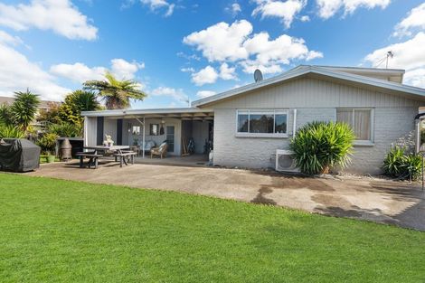 Photo of property in 131 Park Road, Katikati, 3129