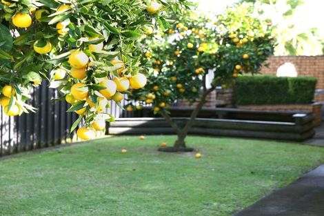 Photo of property in 51 Barnhill Crescent, Pahurehure, Papakura, 2113