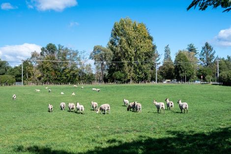 Photo of property in 14 Stock Road, Bridge Pa, Hastings, 4175