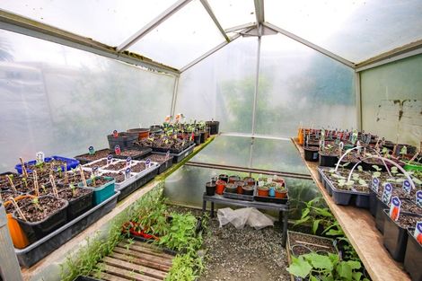 Photo of property in 13 Jellicoe Road, Ruawai, 0530