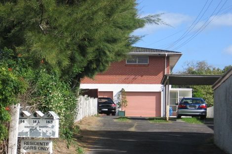Photo of property in 14 Counsel Terrace, Mount Albert, Auckland, 1025