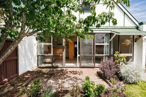 Photo of property in 13a Harris Street, Marton, 4710