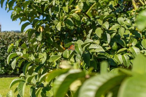 Photo of property in 78 Catherine Crescent, Whitianga, 3510