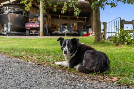 Photo of property in 1173 Te Miro Road, Te Miro, Cambridge, 3496