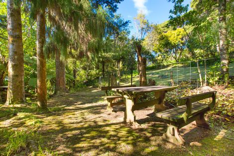 Photo of property in 39 Whaanga Road, Raglan, 3297