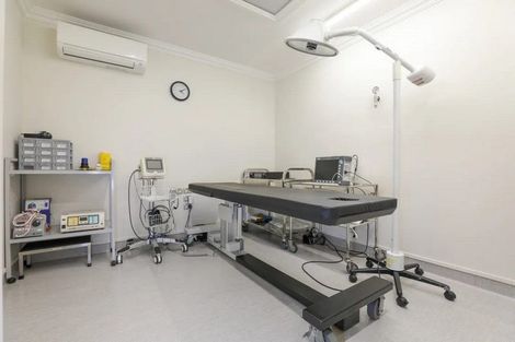 Photo of property in 186 Fraser Street, Tauranga South, Tauranga, 3112