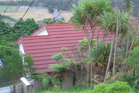 Photo of property in 44 Bedford Street, Northland, Wellington, 6012
