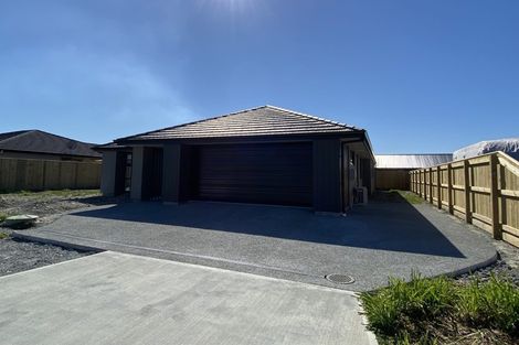 Photo of property in 96 Berryfield Drive, Appleby, Richmond, 7020