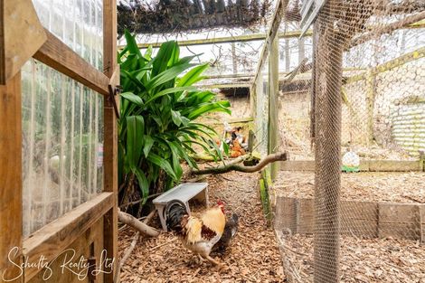 Photo of property in 736 Whakapirau Road, Whakapirau, Maungaturoto, 0583