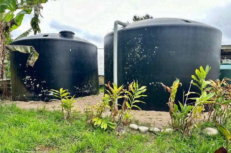 Photo of property in 49 Kongahu Swamp Road, Karamea, 7893