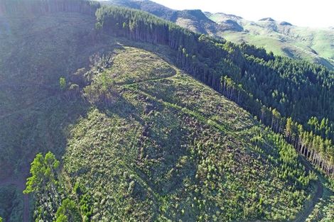 Photo of property in 90 Bachelors Road, Little River, 7591