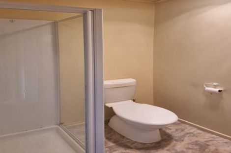 Photo of property in 28 Princess Street, Martinborough, 5711