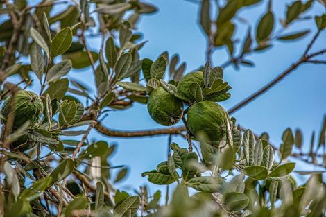 Photo of property in 5/31 Bowater Place, Manurewa, Auckland, 2102