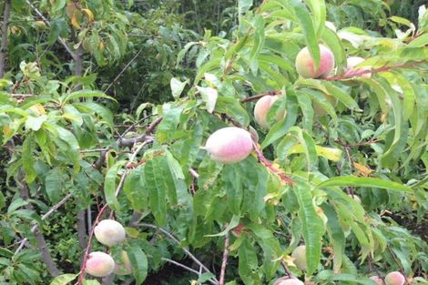 Photo of property in 839 Chester Road, West Taratahi, Carterton, 5791