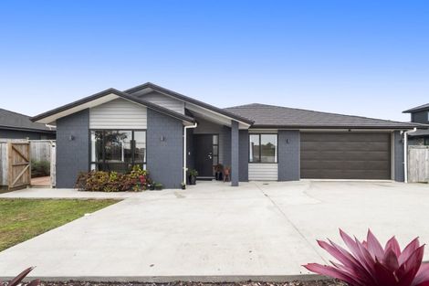 Photo of property in 76 Puni Road, Pukekohe, 2120
