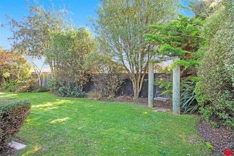 Photo of property in 14 James Drive, Woodend, 7610