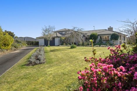 Photo of property in 11 Bradley Avenue, Pyes Pa, Tauranga, 3112