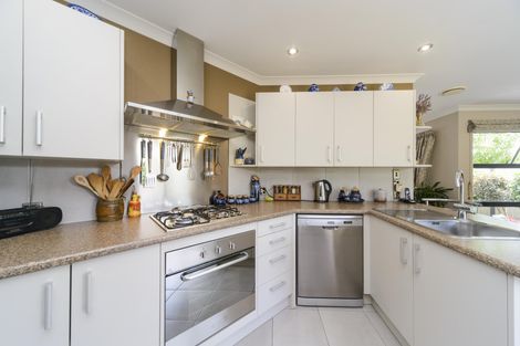 Photo of property in 53a Limbrick Street, Terrace End, Palmerston North, 4410