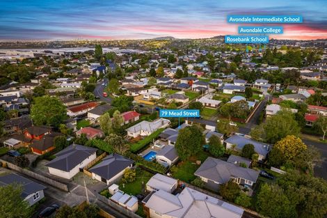 Photo of property in 79 Mead Street, Avondale, Auckland, 1026