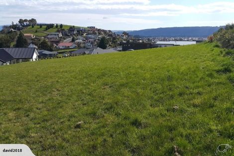 Photo of property in 19 Erica Crescent, Mosgiel, 9024