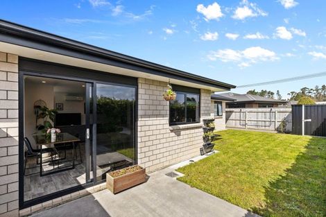 Photo of property in 41b James Street, Inglewood, 4330