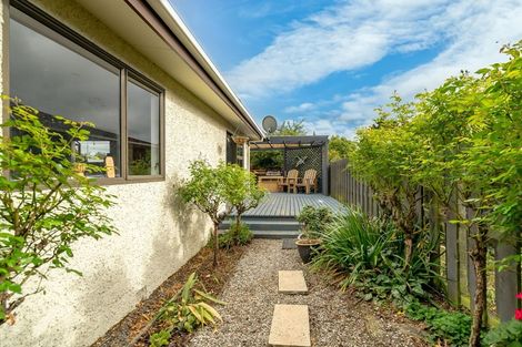 Photo of property in 46 Kinmont Crescent, Kinmont Park, Mosgiel, 9024