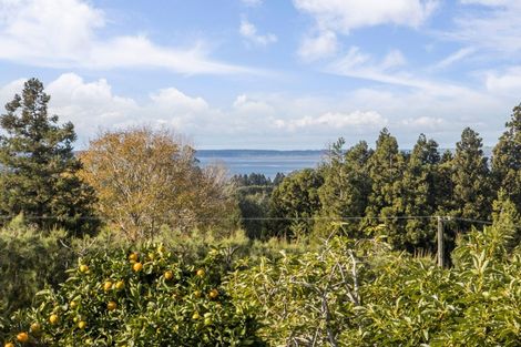 Photo of property in 270 Wharawhara Road, Tahawai, Katikati, 3178