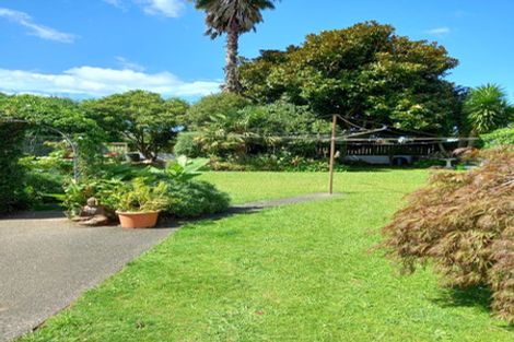 Photo of property in 29 Princes Street, Waihi, 3610