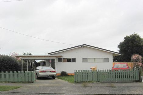 Photo of property in 33 Salisbury Street, Levin, 5510