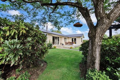 Photo of property in 74 Kirkbride Street, Wallacetown, 9816