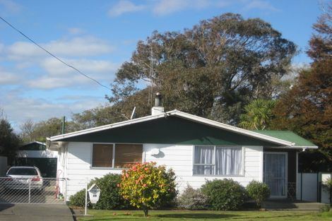 Photo of property in 19 Alexandra Street, Marton, 4710