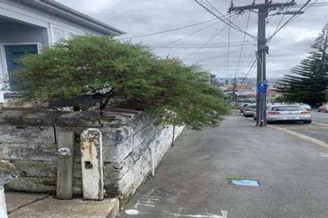 Photo of property in 32 Thompson Street, Mount Cook, Wellington, 6011