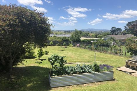 Photo of property in 205 Hokianga Road, Dargaville, 0310