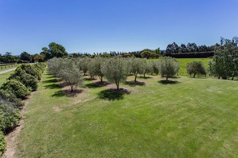 Photo of property in 152 Omihi Road, Waipara, Amberley, 7483