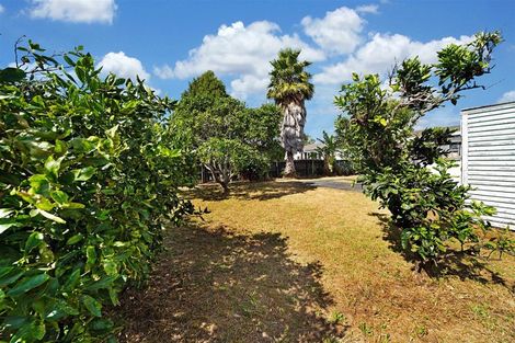 Photo of property in 41 Wairau Avenue, Avondale, Auckland, 1026