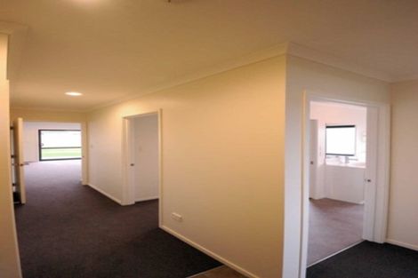 Photo of property in 25 Pakohe Street, Pegasus, 7612