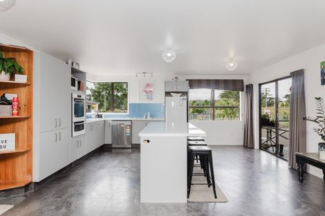 Photo of property in 336 Carisbrook Road, Mangatainoka, Pahiatua, 4982