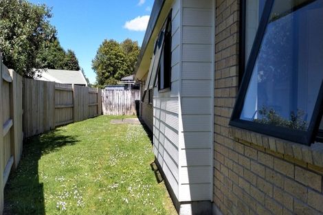Photo of property in 47 Solomon Street, Brookfield, Tauranga, 3110
