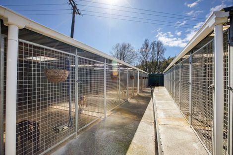 Photo of property in 4 Kitson Road, Aka Aka, Waiuku, 2682