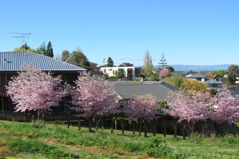 Photo of property in 257 Picquet Hill Road, Te Awamutu, 3800