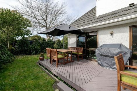 Photo of property in 8 Mcarthur Street, Terrace End, Palmerston North, 4410