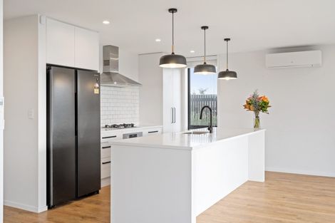 Photo of property in 20 Meachem Road, Chartwell, Hamilton, 3210