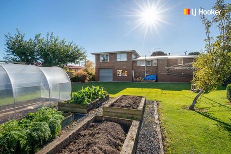 Photo of property in 43 Tyne Street, Mosgiel, 9024